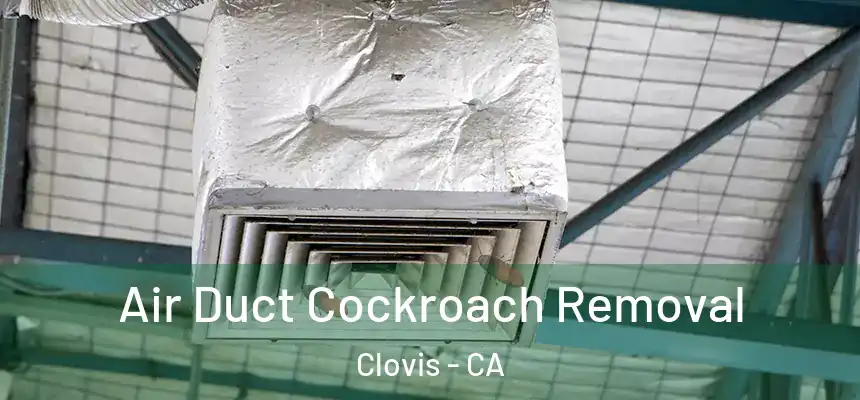 Air Duct Cockroach Removal Clovis - CA