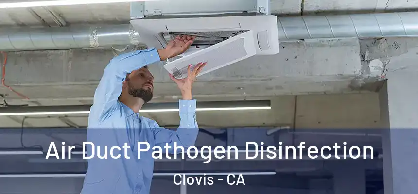  Air Duct Pathogen Disinfection Clovis - CA