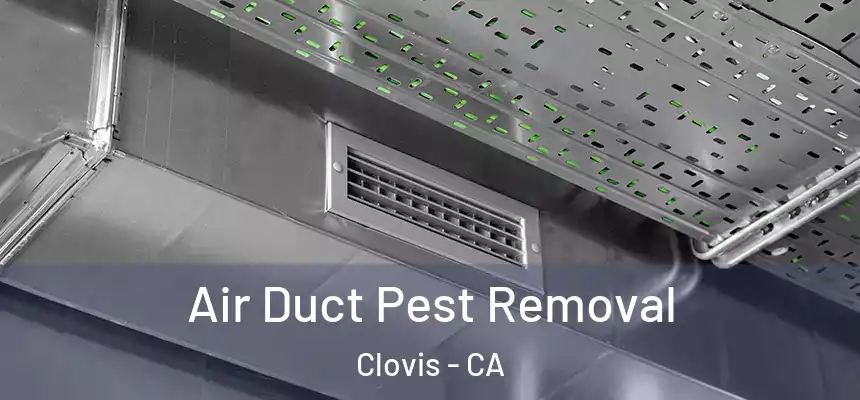 Air Duct Pest Removal Clovis - CA