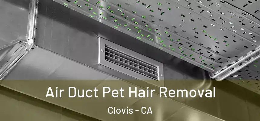 Air Duct Pet Hair Removal Clovis - CA