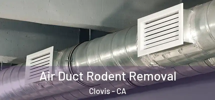  Air Duct Rodent Removal Clovis - CA