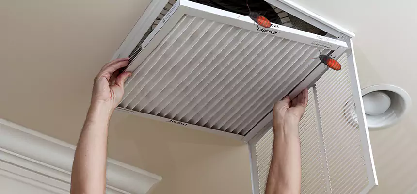 Preventive Cockroach-Proofing for Ducts in Clovis