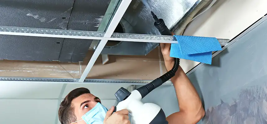 Our Air Duct Rodent Removal Services in Clovis, CA