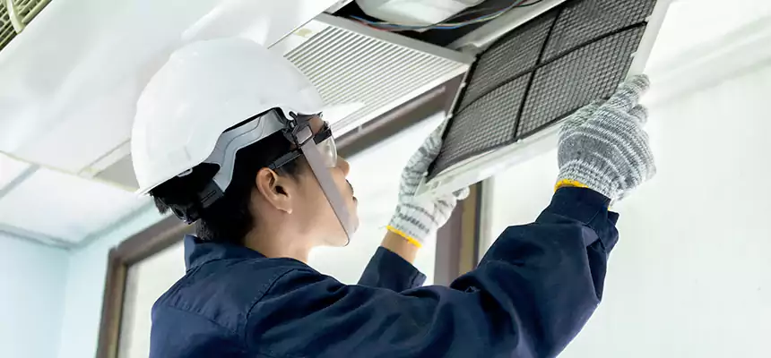 Our Mold & Mildew Removal from Air Ducts Services in Clovis, CA