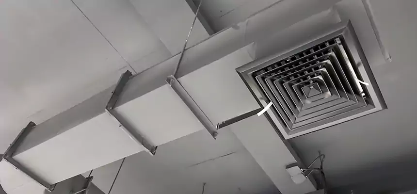 Our Pest Removal From Ducts Services in Clovis, CA