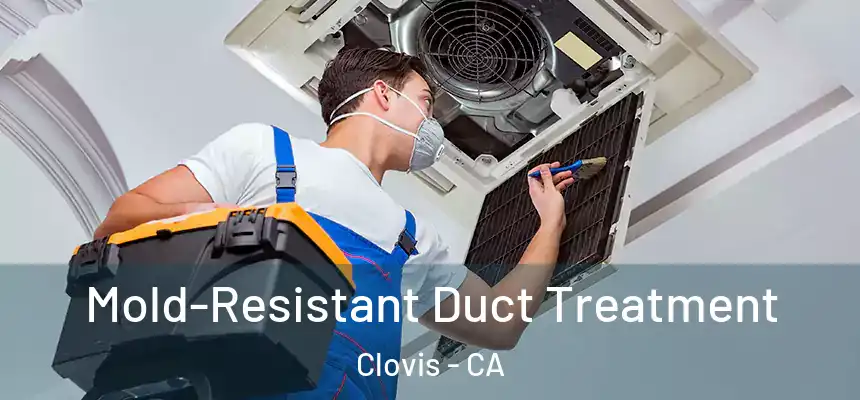Mold-Resistant Duct Treatment Clovis - CA