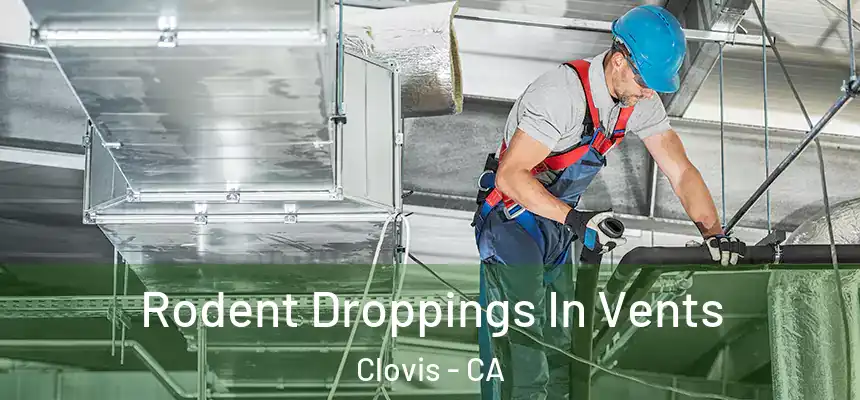 Rodent Droppings In Vents Clovis - CA