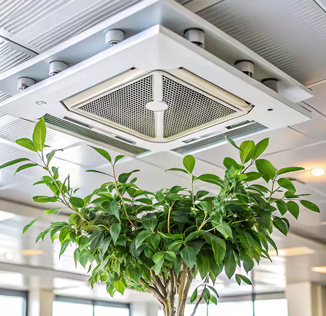 Why Homeowners & Businesses Trust Us in Clovis, CA